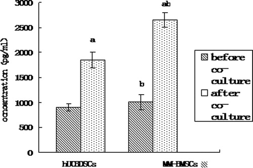 Figure 1. IL-6 concentrations in hUCBDSC/MM-BMSC culture solution as assessed by ELISA. (a) After co-culture vs. before co-culture (P < 0.01). (b) hUCBDSCs vs MM-BMSCs (P < 0.05). After sub-culture for 4 days, the cultured serum was collected, and IL-6 expression levels were examined by ELISA. hUCBDSCs displayed lower IL-6 concentrations than MM-BMSCs. Each experiment was performed three times. hUCBDSCs, human umbilical cord blood-derived stromal cells; MM-BMSCs, multiple myeloma bone marrow stromal cells.