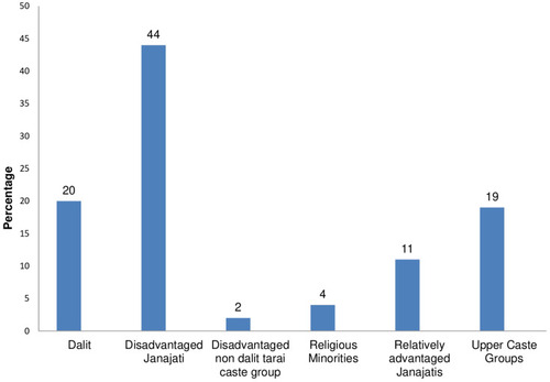 Figure 1 Ethnicity of newborns.