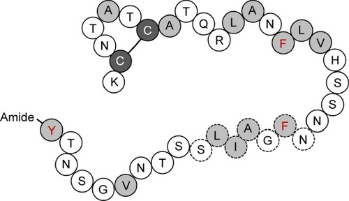 Figure 1 Schematic diagram of the primary sequence of IAPP.