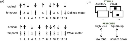 Figure 1. Sequences for serial recall. (A) The two temporal structures used in defined meter vs. weak-meter conditions (short vertical lines = beat onsets; crosses = sequence events). Arrows indicate an example of concurrent ordinal information. (B) Ordinal structures were random series of nine tones, high or low, in the auditory conditions, nine spatial positions, up or down, in the visual ones. In both cases, participants used the arrow up/down keys of the keyboard to reproduce the sequence