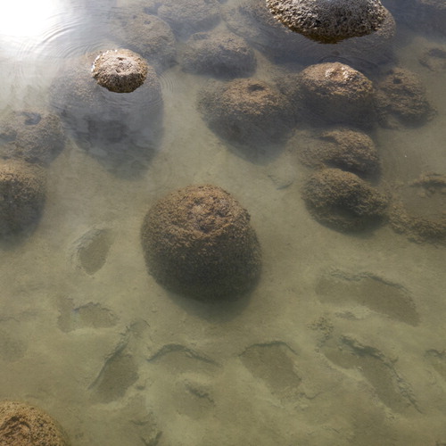 Figure 2. Human footprints impact directly and indirectly on thrombolites.