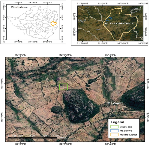 Figure 1. Experimental study site.