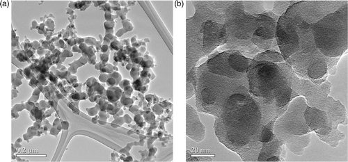 Figure 2. (a) TEM images of silane-coated SiO2 nanopowders and (b) higher magnification image of Figure 2(a).