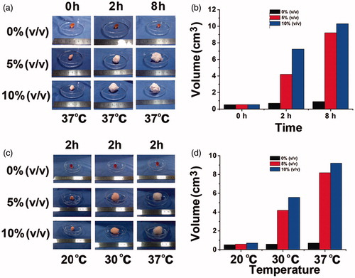 Figure 3. Change of gel volume with the perfluoropentane of different concentration. (a) Swelling process of gels encapsulating 0%, 5% and 10% PFP recorded by camera at 37 °C; (b) histogram of the volume changes; (c) swelling process of gels encapsulating 0%, 5% and 10% PFP recorded by camera at 20, 30, 37 °C; (d) histogram of the volume changes.