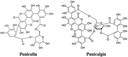 Figure 9 Molecular structure of punicalin and punicalagin.