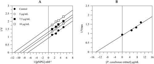 Figure 2. Inhibition of α-glucosidase activity. Lineweaver–Burk analysis (A) and secondary plot (B) using different concentrations of the extract.