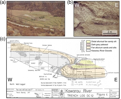 Figure 11. A,B, Photos and C, log of the trench excavated at this locality from Beanland and Fellows (Citation1984); also see Beanland and Barrow-Hurlbert (Citation1988). The log has been annotated with our revised stratigraphy for the trench exposure (see text for details).