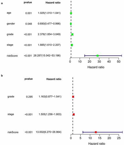 Figure 5. Univariate and multivariate Cox regression analysis forest plot of training cohort