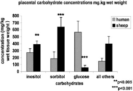 FIGURE 2  Sugar and polyol concentrations in the human and ovine placenta. Number of observations: human (n=8), sheep (n=6). Statistically significant differences: **p <0.005, ***p <0.001. Concentrations are expressed as mg/kg wet tissue weight.