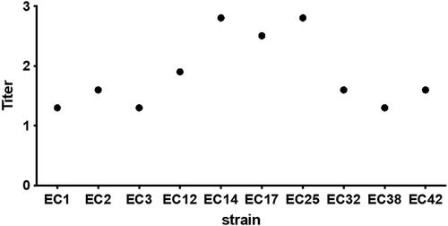 Figure 2. Hemagglutination titre of 10 E. coli strains isolated from women with recurrent urinary infections.