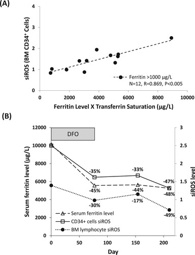 Figure 4. siROS of CD34+ cells and serum ferritin. (A) Correlation between siROS level in BM CD34+ cells and serum ferritin level adjusted by transferrin saturation, in high blast count patients (5–19%) with ferritin above 1000 μg/L. (B) Corresponding decrease of serum ferritin level, siROS level in CD34+ cells and bone marrow lymphocyte in patient number 11 upon iron chelation therapy (deferoxamine, 1000 mg/d, treatment initiated at day 0).