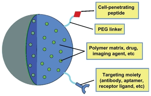 Figure 2 Components of an “ideal” nanoparticle for intracellular drug delivery. The important components of a nanoparticle used for intracellular drug delivery include choice of nanomaterials (eg, polymer, gold), targeting molecules, cellpenetrating peptides (to promote internalization), and the incorporated drug molecules of interest.Abbreviation: PEG, polyethylene glycol.