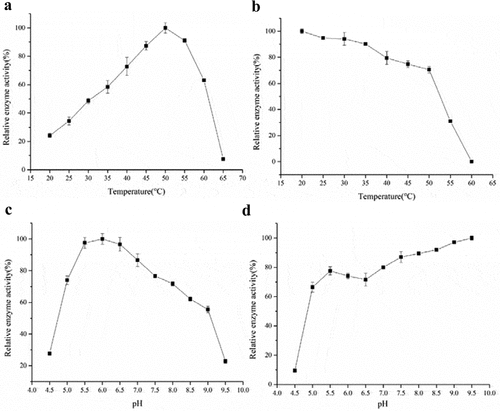 Figure 2. The effect of temperature and pH on purified β-galactosidase. (a) The optimal temperature for the purified β-galactosidase. The enzyme activity assay was carried out at different temperatures ranging from 20 to 65°C in 5-unit increments. (b) The heat tolerance of the purified β-galactosidase. The enzyme activity assay was carried out at temperatures ranging from 20 to 60°C. (c) The optimal pH for the purified β-galactosidase. (d) The pH tolerance of the purified β-galactosidase. The enzyme activity assay was carried out in buffers with different pH values ranging from 4.5 to 9.5 in 0.5-unit increments. The experiments were carried out three times using ONPG as the substrate, and the data are presented as Mean ± SD