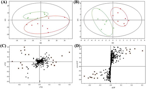 Figure 2. PCA score plot (A), PLS-DA score plot (B), loading plot (C) and S-plot (D) derived from serum GC-MS spectra concerning normal (▲) and high-fructose groups (■).Figura 2. Diagrama de datos de PCA (A), diagrama de datos de PLS-DA (B), diagrama de carga (C) y diagrama S (D) derivados de los espectros GC-MS de suero, tratándose de grupos normales (▲) y de alta fructosa (■).