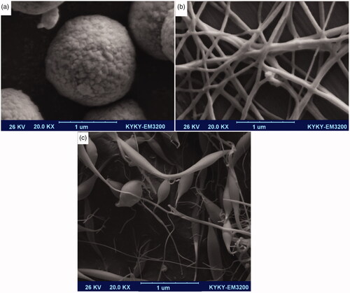 Figure 2. SEM image cumulative of dapsone microemulsion (a), polyacrylamide/polylactic acid core/shell nanofibers (b) dapsone nanoemulsion loaded in polyacrylamide/polylactic acid as core/shell nanofibers (c).