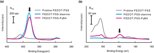 Figure 2. High-resolution XPS data of pristine PEDOT:PSS, PEDOT:PSS-diamine, and PEDOT:PSS-PyBA. (a) N1s peaks in PEDOT:PSS-diamine and PEDOT:PSS-PyBA spectra indicate ethylenediamine or pyridine moieties. (b) distinct B1s peak in PEDOT:PSS-PyBA spectrum indicates covalent introduction of PyBA on the film.