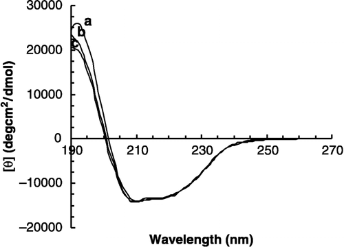Figure 6 UV-CD spectra registered for MT in the absence (a) and in the presence of different two concentrations of benzenethiol; 0.12 mM (b) and 0.20 mM (c) at pH = 5.3. The concentration of the enzyme is 0.20 mg/mL.