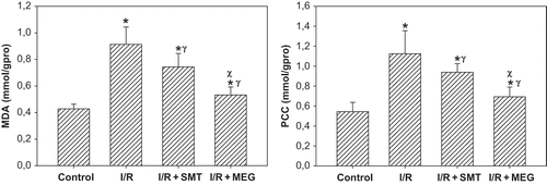 Figure 2. Effect of renal ischemia reperfusion (I/R), SMT, and MEG on tissue superoxide dismutase (SOD) and glutathione peroxidase (GPx) enzyme activities. All values expressed as mean SEM. *statistically significant from control (p <0.05), γ = statistically significant from I/R group (p <0.05), χ = statistically significant from I/R + SMT (p <0.05).