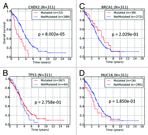 Figure 3. Kaplan–Meier survival curves of TCGA HG-SOC patients based on the non-silent mutational status of (A) CHEK2, (B) TP53, (C) BRCA1, and (D) MUC16.