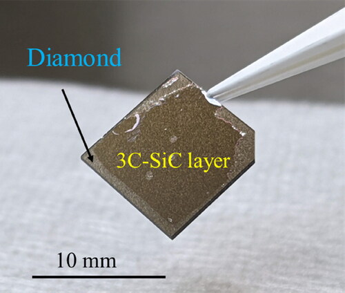 Figure 3. Optical microscopy image of the 3 C-SiC/diamond bonded sample.