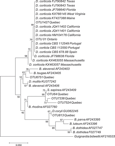 Fig. 2 Phylogenetic relationships among Diplodia DNA sequence reads from aerial fungal spore samples based on Neighbour-joining analysis on the ITS1 partial 5.8s ribosomal sequence data. Bootstrap percentages are indicated at nodes (10 000 replicates), and branch length is proportional to the number of changes indicated. GenBank accession numbers or CBS isolate numbers are indicated after species names.