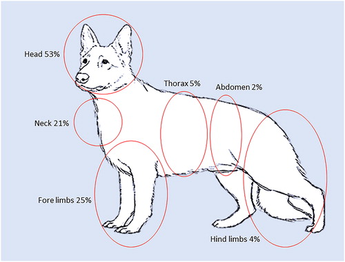 Figure 3. Anatomical locations of fang marks.