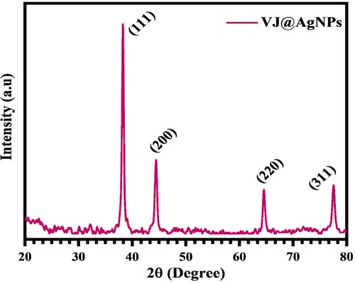 Figure 2. XRD spectrum of synthesized VJ@AgNPs by aqueous extract of V.jatamansi