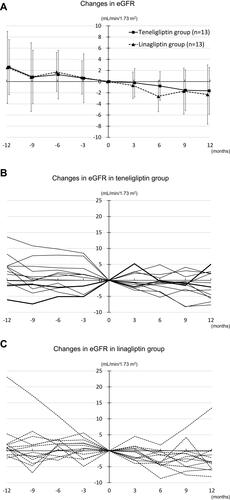 Figure 6 Changes in eGFR over 12 months before and after the baseline measurement. (A) Changes in eGFR in the teneligliptin and linagliptin groups. (B) Changes in eGFR in the teneligliptin group. Eleven patients were taking 20 mg/day of teneligliptin (thin solid line) and two patients were 40 mg/day (bold solid line). (C) Changes in eGFR in the linagliptin group.