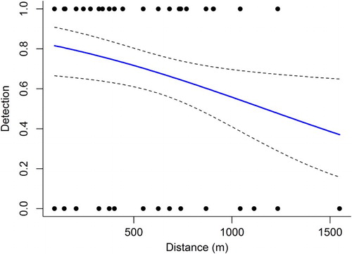 Figure 1. The likelihood of detecting Little Owls through response to playback over increasing distance from a known breeding site (nest box). The solid line represents the predicted response from a binomial GLM bounded by the 95% confidence interval (dashed lines).