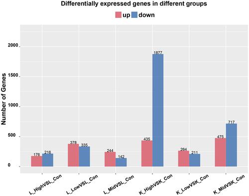 Figure 3 Number of DEGs. Red represents the number of up-regulated genes and blue represents the number of down-regulated genes. DEGs, differentially expressed genes.