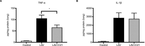 Figure 5 Protein expression of (A) TNF-α and (B) IL-1β in lungs of rats with mechanical ventilation only (control; n=9), repeated pulmonary lavage and mechanical ventilation (LAV; n=9), and repeated pulmonary lavage, mechanical ventilation, and direct stimulation of the AT2 receptor with C21 (0.03 mg/kg body weight; LAV+C21; n=9).Notes: Lungs were harvested after 240 min of mechanical ventilation, and protein levels were analyzed using CBA and FACS analysis. Results are given as pg (of the respective cytokine) per mg protein of lung tissue. Data are presented as mean±SEM, Mann–Whitney U-test, *p<0.05 compared with LAV group (n=9).Abbreviations: AT2, angiotensin II type 2; C21, Compound 21; CBA, cytometric bead array; FACS, fluorescence-activated cell sorting; SEM, standard error of the mean; TNF-α, tumor necrosis factor-alpha.
