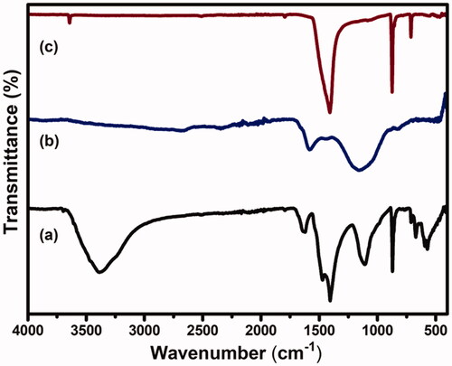 Figure 6. FTIR spectra of (a) CS-GP hydrogels, (b) PC nanocapsules, and (c) CS-GP/PC polymeric hydrogel.