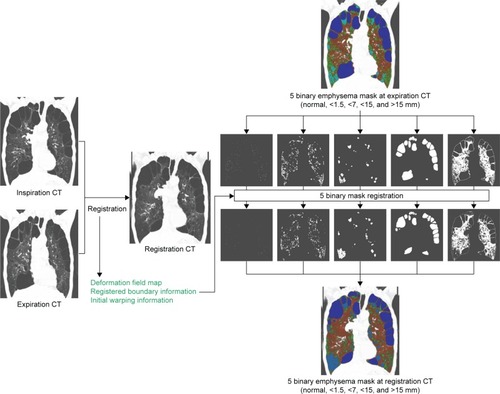 Figure 3 Process of the deformation of emphysema clusters according to the specific sizes (<1.5, <7, <15 and >15 mm) by using co-registration information.