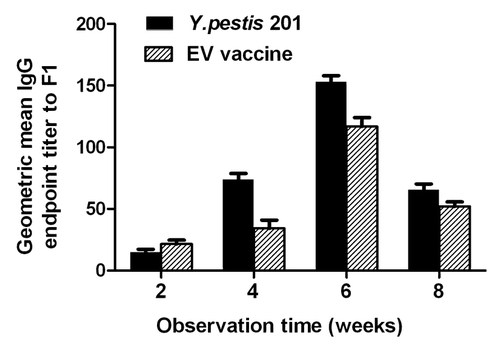 Figure 1. Development of IgG titers to F1 in Chinese-origin rhesus macaques immunized with the Y. pestis strain 201 and the EV vaccine on week 2, 4, 6, and 8 post immunization.