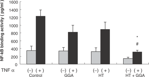 Figure 5. Effect of GGA plus hyperthermia on binding activity of NF-κ B. The binding activity of NF-κ B of each group of pretreated cells was measured by ELISA. At the same time, each group of pretreated cells was stimulated with recombinant TNF-α (50 ng/ml) for 1 h; after stimulation with TNF-α, we measured the binding activity of NF-κ B by ELISA. Data are shown as the mean ± SEM of five samples in a representative experiment. *P < 0.005 compared with the control + TNF-α stimulation group, #P < 0.05 compared with GGA + TNF-α stimulation group, and hyperthermia + TNF-α stimulation group.