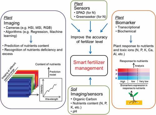 Figure 2. Diagrammatic representation of smart fertilizer management. Smart fertilizer management utilizes imaging, sensors, and biomarkers to phenotype the nutrient status in plants and soils. HSI, hyperspectral imaging; MSI, multispectral imaging; RGB, red-green-blue; SPAD, soil plant analysis development