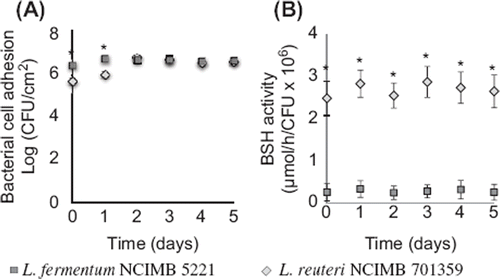 Figure 4. Bacterial cell adhesion and BSH-activity of L. reuteri NCIMB 701359 (BSH-active) and L. fermentum NCIMB 5221 (nonactive BSH) coated on mucin–alginate beads packed in the gut bacterial adhesion model. (A) Bacterial cell adhesion was determined using plate counting and expressed as log (CFU/cm2). (B) BSH-activity was determined using spectrophotometry and expressed as the rate of glycine release per CFU (µmol/h/CFU 3 106). On day 0, the gut bacterial adhesion model was packed with mucin–alginate beads coated with, respectively, L. reuteri NCIMB 701359 and L. fermentum NCIMB 5221 in distinct studies. The model was incubated at 37°C. Culture media was replaced daily. All experiments were conducted in triplicates. Values are expressed as means ± SEM. *Indicates statistical (p < 0.05).