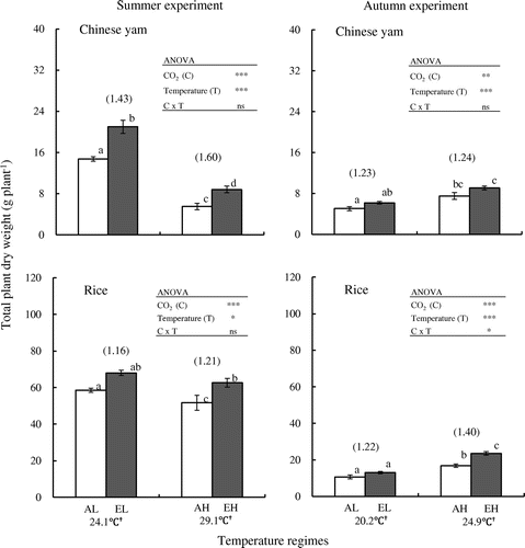 Figure 1. Effects of elevated CO2 concentration on total plant dry weight in Chinese yam and rice.