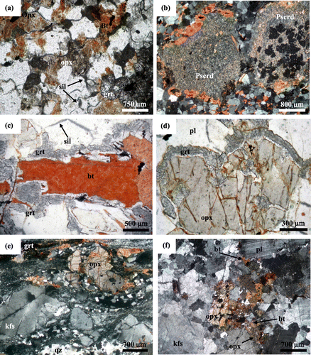 Figure 5. Replacement and corona textures in granulites; (a) Replacement of orthopyroxene by biotite in orthopyroxene bearing orthogneiss, (b) Pseudomorphs, probably after cordierite, which are made up of sillimanite, garnet, biotite and quartz; (c) Biotite which is enclosed by garnet corona. Garnet corona consists of an inclusion-free inner and inclusion-rich outer zone; (d) Orthopyroxene rimmed by garnet corona. Note the presence of the partial moat of plagioclase between orthopyroxene and garnet rims; (e) Metagranodiorite (type-2) with mylonitic texture. Orthopyroxenes are partly replaced by biotites; (f) Orthopyroxene in metatonalites (type-3) with granoblastic texture. a, c and d: plain polarised light; b, e and f: crossed nicols. Mineral abbreviations as defined by Whitney and Evans (Citation2010).