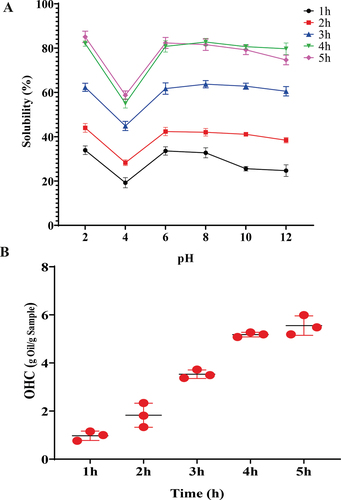 Figure 4. Solubility (a) and OHC (b) of hydrolyzates extracted in different time intervals (1–5 h). The values are mean ± SD from triplicate determinations (n = 3) and significant difference (P < .05).