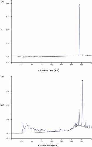 Figure 1. HPLC chromatographic profile of HEA. (A) Rutin standard (RT 16.90 min); (B) EtOAc fraction of HEA (10 mg/mL). (1) Rutin and (2) kaempferol-3-O-glucuronide (according to Victório et al., Citation2010).