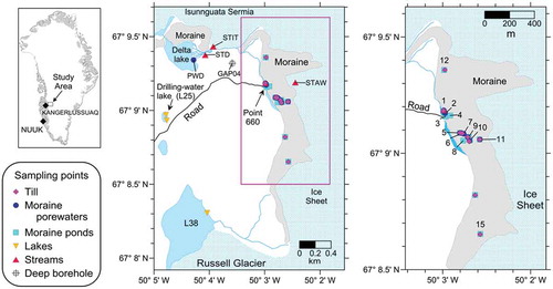 Figure 1. Map of the study area and sampling points. The map on the left shows the location of the study area in Greenland. The map in the middle is a general view of the study area including the location of the samples studied here and the location of a deep borehole, GAP04, drilled within the GAP project (Harper et al. Citation2016). The map on the right is an enlargement of the area with the position of the sampling points. The samples taken at each sampling point are listed in Tables S1 and S2 (supplemental material).