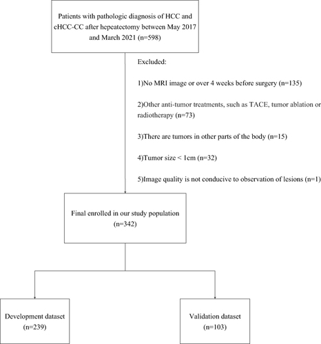 Figure 1 The recruitment process of the cases for this study.