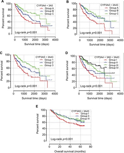 Figure 6 Survival curves of the joint-effects analysis of the combination of CYP3A4 and CYP3A5 (A), CYP3A4 and CYP3A43 (B), CYP3A5 and CYP3A43 (C), and CYP3A4, CYP3A5, and CYP3A43 (D) in TCGA database and CYP3A5 and CYP3A43 (E) in GEO database.Abbreviations: CYP3A, cytochrome P3A; GEO, Gene Expression Omnibus; TCGA, The Cancer Genome Atlas.