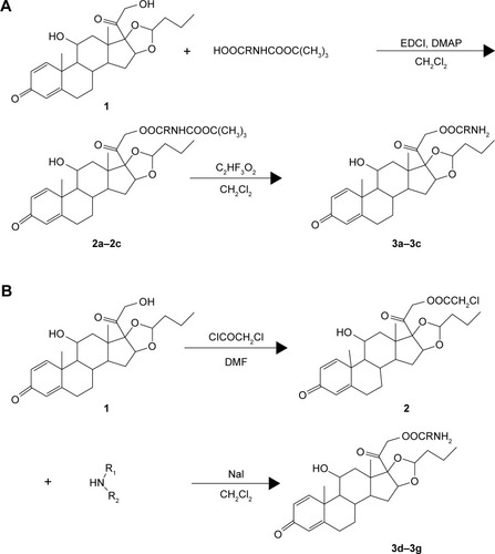 Figure 1 (A) Synthesis of amino acid ester conjugates of budesonide and (B) synthesis of acetates conjugates of budesonide.