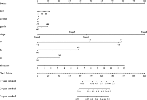 Figure 9. A nomogram predicting the 1-, 2-, and 3- year overall survival of HCC patients.