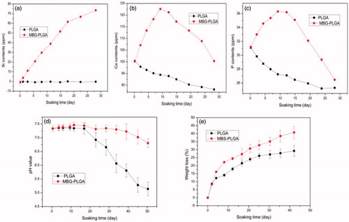 Figure 4. Results of in vitro degradation of PLGA and BMG/PLGA scaffold. Changes in ion concentration of the immersion extract during scaffolds soaking (a: Si; b: Ca and c: P); Change in pH levels of the immersion extract (d) and weight loss ratio from the scaffolds (e).