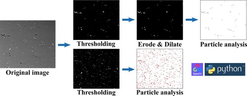 Figure 3. Image processing flow for the analysis of second phases and defect.