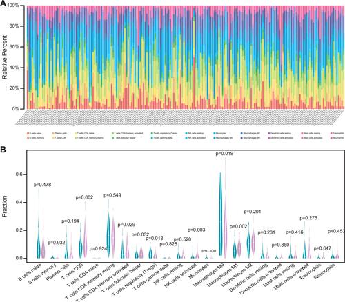 Figure 3 Comparisons of 22 important immune fractions between low- and high-TMB groups. (A) Barplot showing the specific 22 immune cells percentages displayed by different colors in each sample. (B) Wilcoxon rank-sum test revealed the different infiltration levels of immune cells between low- and high-TMB groups. Blue represented low-TMB group, red represented high-TMB group.