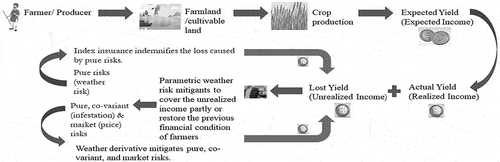 Annexure A.2.The process flow chart of working of index insurance and weather derivatives in the agriculture sector.